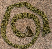 schal-schwarz-gruen.jpg